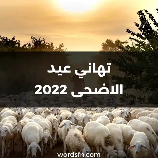تهاني عيد الاضحى 2022