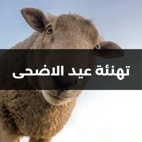 تهنئة عيد الاضحى