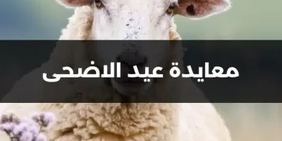 معايدة عيد الاضحى