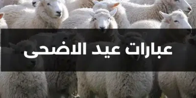 عبارات عيد الاضحى