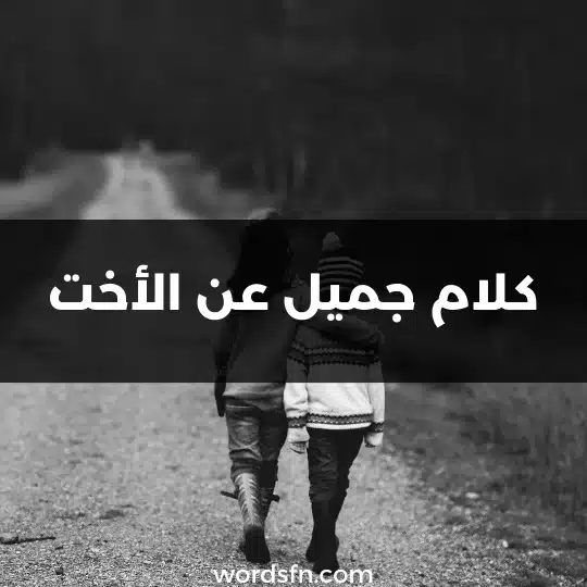 كلام جميل عن الأخت