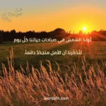 كلام عن الحياة