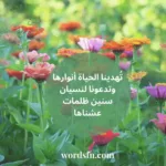 اجمل عبارات عن الحياة