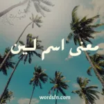 معنى اسم لين
