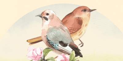 قصة طائر السنونو