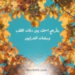 حالات واتس اب حب وغرام