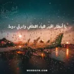 أجمل جمل عن المطر