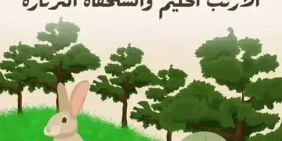 قصة الأرنب الحكيم والسلحفاة الثرثارة