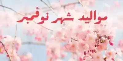 جمل هامة عن مواليد شهر نوفمبر
