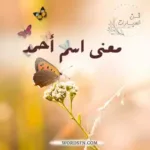 معنى اسم أحمد