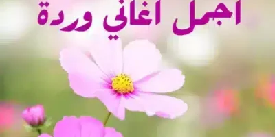 أجمل عبارات من أغاني وردة