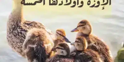 قصة الإوزة وأولادها الخمسة