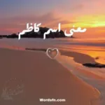 معنى اسم كاظم