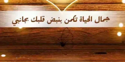 كلام حب قوي