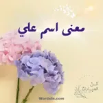 معنى اسم علي