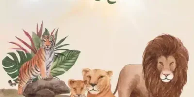 قصة الأسد الطماع والقسمة العادلة