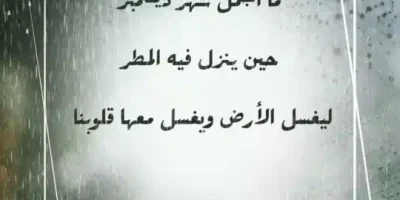 اجمل ما قيل عن شهر ديسمبر