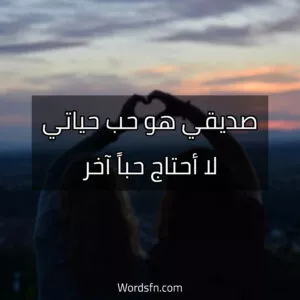 صديقي هو حب حياتي