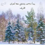 عبارات عن ديسمبر