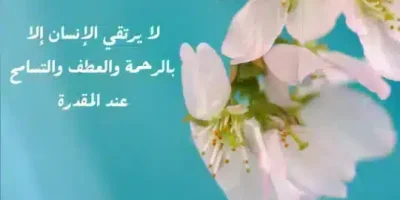 عبارات عن التراحم