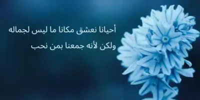 عبارات عن الرومانسية