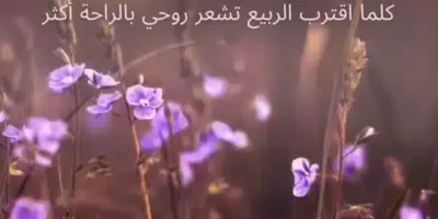 عبارات عن الربيع