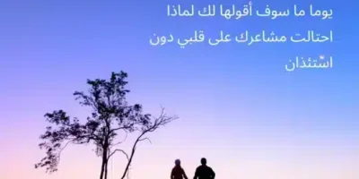 عبارات عن الاحتيال