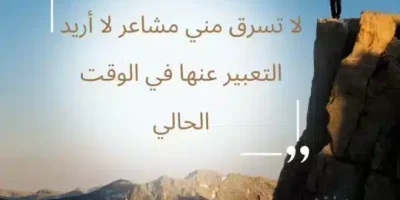عبارات عن السرقة