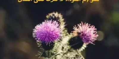 كلمات عن التجاهل