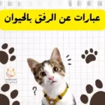 عبارات عن الرفق بالحيوان