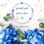 أجمل ما قيل عن النساء