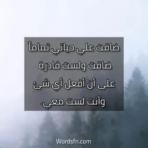 ضاقت علي حياتي تماماً، ضاقت ولست قادرة على أن أفعل أي شئ وأنت لست معي.