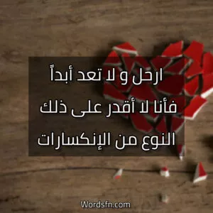 ارحل و لا تعد أبداً، فأنا لا أقدر على ذلك النوع من الإنكسارات.