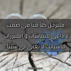 فليرحل كلاً منا في صمت، لا داعي للنقاشات و المبررات فأسبابك لا تعني لي شيئاً.