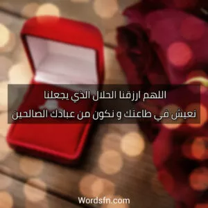 اللهم ارزقنا الحلال الذي يجعلنا نعيش في طاعتك و نكون من عبادك الصالحين