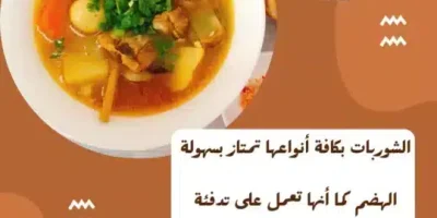 أهم الأطعمة في الشتاء