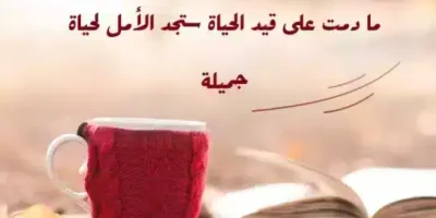 كلام جميل عن الحياة