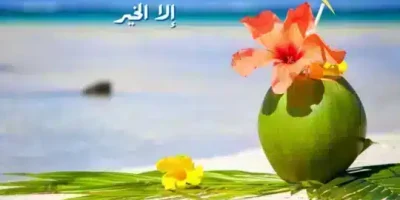 صباح الخيرات اجمل صباح الخيرات