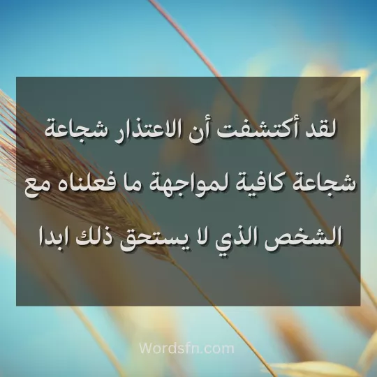 لقد اكتشفت ان الاعتذار شجاعة