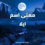 معنى اسم ايلا