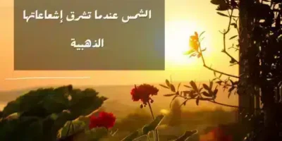 اقتباسات عن الحياة