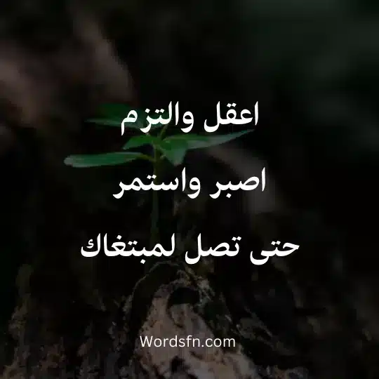 أعقل والتزماصبر واستمر حتى تصل لمبتغاك