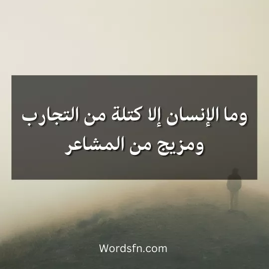 كلمات جميلة وقصيرة