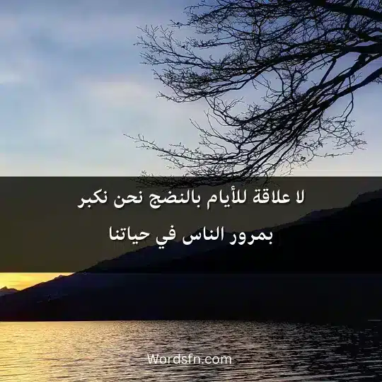لا علاقة للأيام بالنضج نحن نكبر بمرور الناس في حياتنا