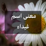 معنى اسم غيداء
