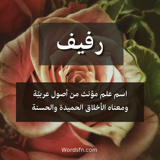 اسم علم مؤنث من أصول عربيَّة ومعناه الأخلاق الحميدة والحسنة