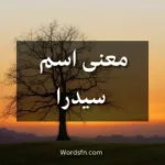 معنى اسم سيدرا
