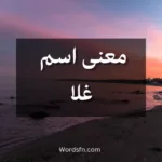 معنى اسم غلا