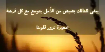 عبارات انستقرام
