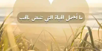 كلمات جميلة ومعبرة